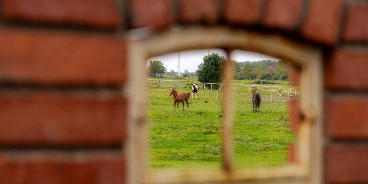 Einfamilienhaus Wirdum - 3 Zimmer, 51 m&sup2;, 279.000&euro; | Angebot:25799875