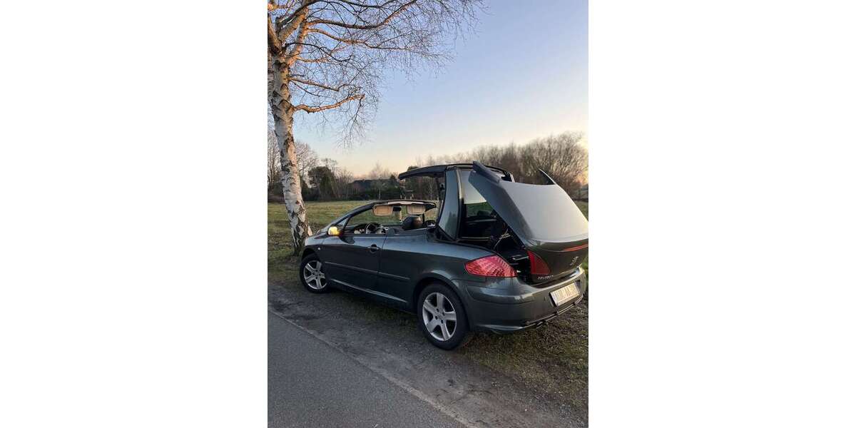 Peugeot 307 183.296 km 3.000 &euro; Aurich 26605