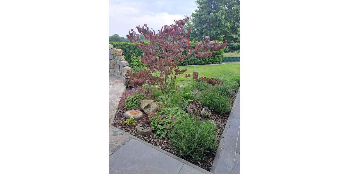 Bungalow Weener - 6 Zimmer, 190 m&sup2;, 649.000&euro; | Angebot:25776731