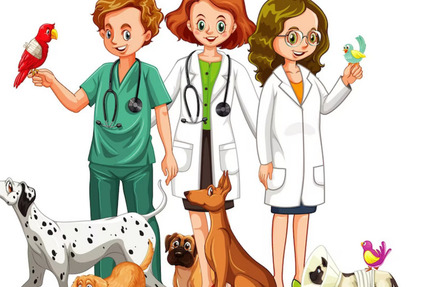 Gewerbeobjekt Leer Loga - 5 Zimmer, 950&euro; | Angebot:25698801