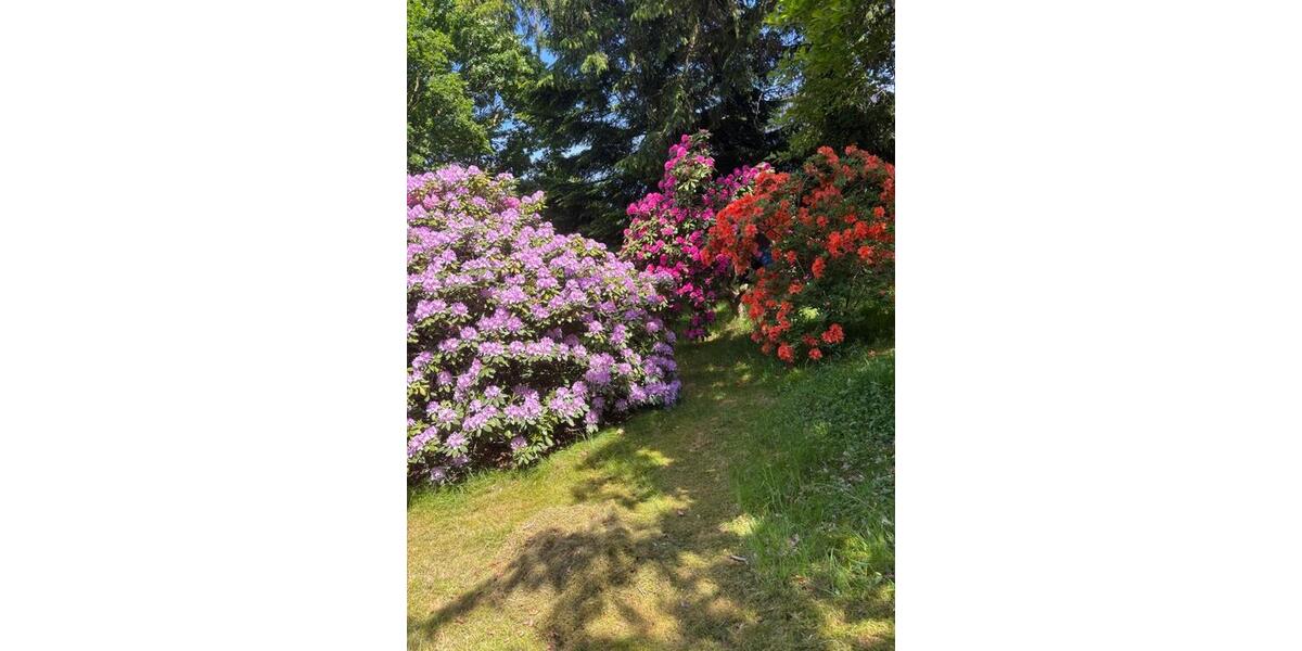 Einfamilienhaus Hage - 6 Zimmer, 160 m&sup2;, 198.000&euro; | Angebot:26797575