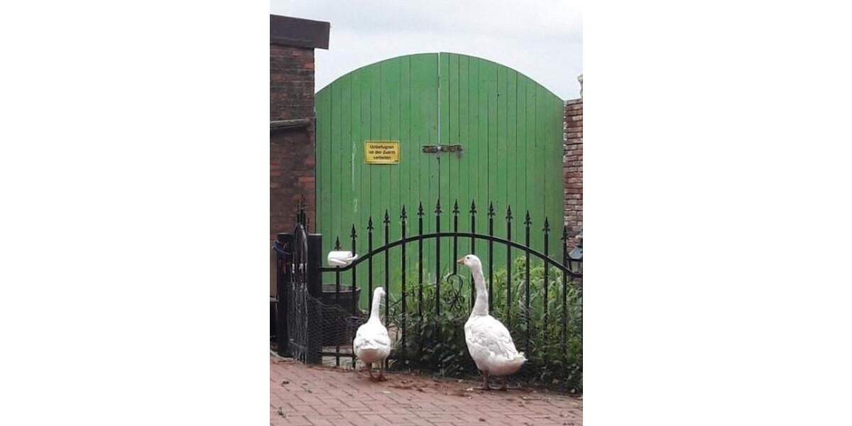 Einfamilienhaus Weener St Georgiwold - 9 Zimmer, 160 m&sup2;, 325.000&euro; | Angebot:25760401