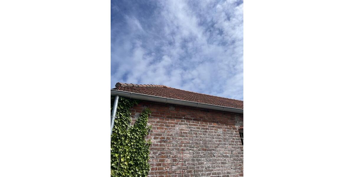 Mehrfamilienhaus, Wohnhaus Hage - 20 Zimmer, 550 m&sup2;, 950&euro; | Angebot:26704052