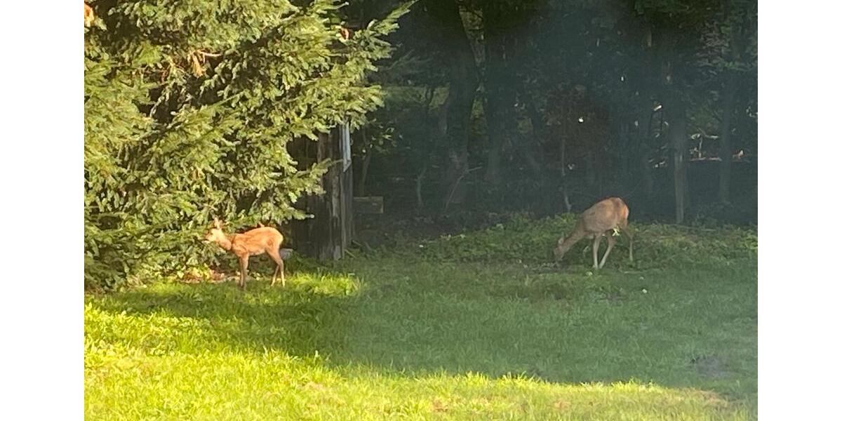 Einfamilienhaus Leer (Ostfriesland) - 370.000&euro; | Angebot:26104334