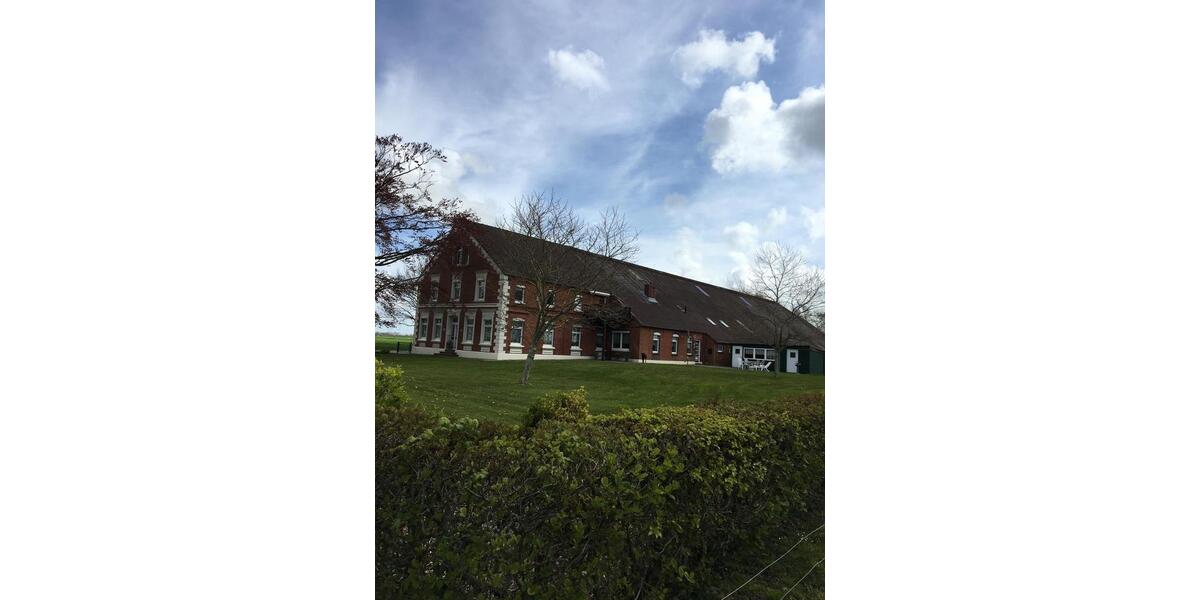 Erdgeschoßwohnung Hage - 2 Zimmer, 65 m&sup2;, 730&euro; | Angebot:25060522