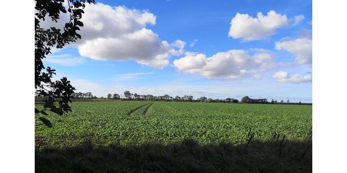 Einfamilienhaus Norden - 400.000&euro; | Angebot:24842617