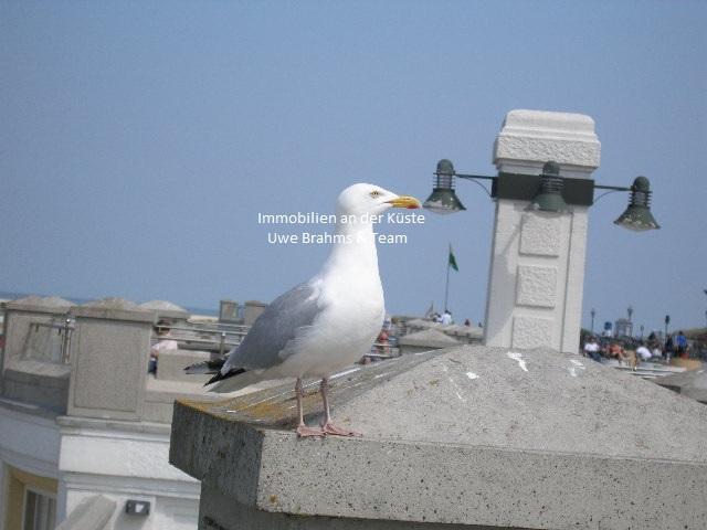 Gewerbeobjekt Leer (Ostfriesland) - 850&euro; | Angebot:25993977