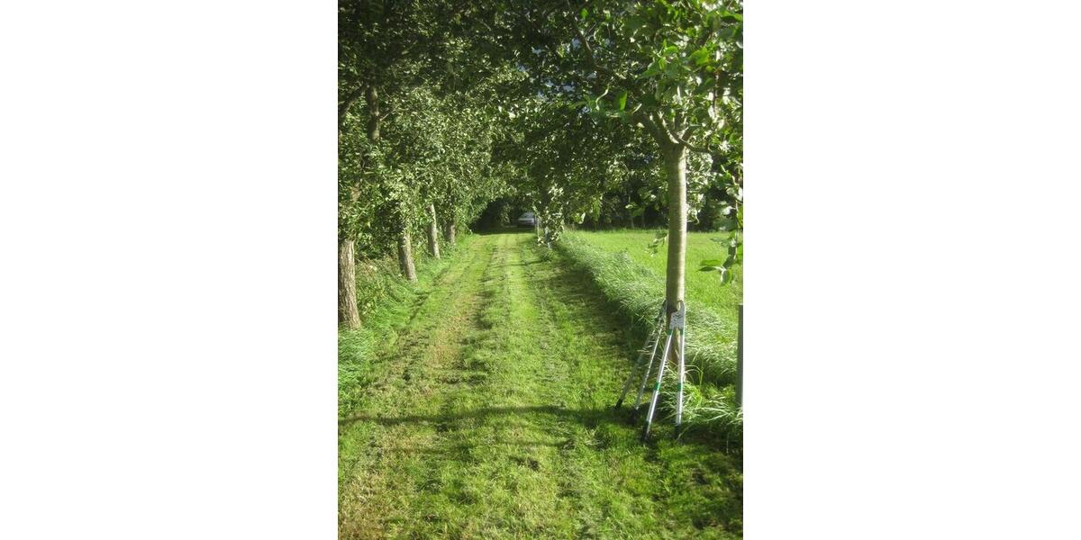 Bauernhaus, Landhaus Krummhörn - 180.000&euro; | Angebot:25920614