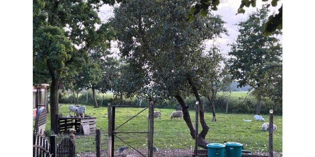 Einfamilienhaus Weener St Georgiwold - 9 Zimmer, 160 m&sup2;, 325.000&euro; | Angebot:25760401