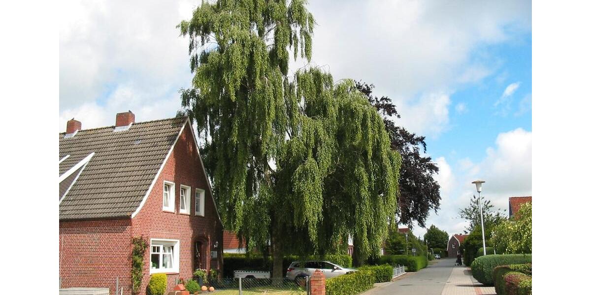 Einfamilienhaus Westerholt - 4 Zimmer, 105 m&sup2;, 700&euro; | Angebot:26624369