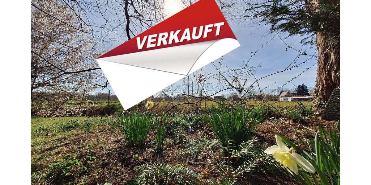 Einfamilienhaus Weener - 8 Zimmer, 158 m&sup2;, 285.000&euro; | Angebot:23904731