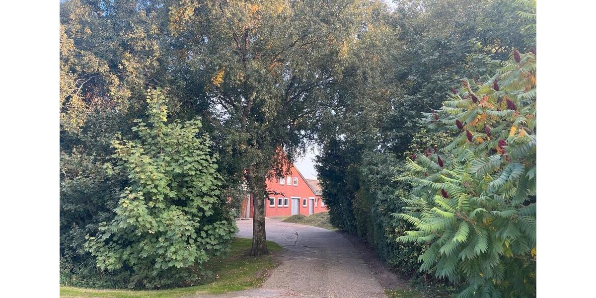 Bauernhaus, Landhaus Krummhörn - 759.000&euro; | Angebot:25392135