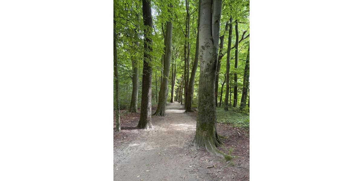 Einfamilienhaus Leer (Ostfriesland) - 370.000&euro; | Angebot:26104334