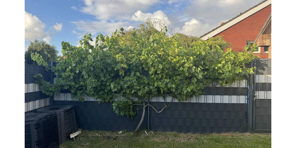 Mehrfamilienhaus, Wohnhaus Norden - 1 Zimmer, 250 m&sup2;, 519.000&euro; | Angebot:25969549