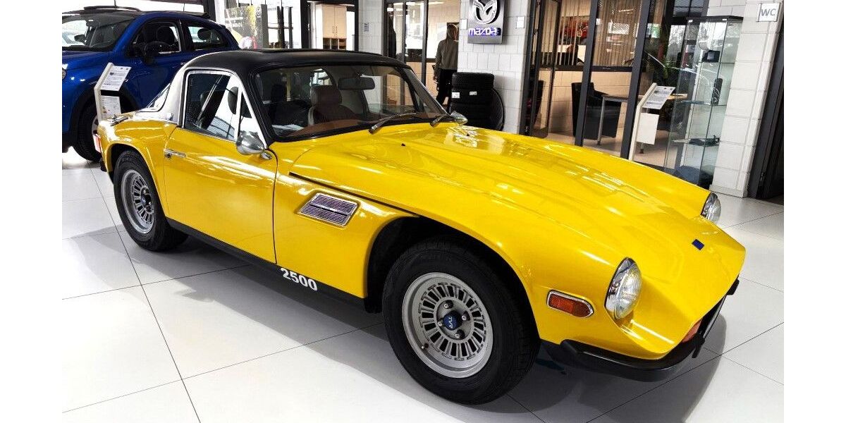 TVR Andere 999.999 km 21.985 &euro; Leer 26789