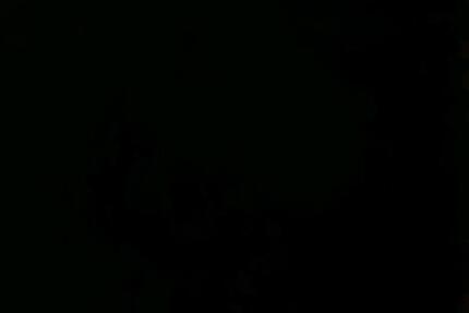 Wohnung Upgant-Schott Schott - 2 Zimmer, 40 m&sup2;, 400&euro; | Angebot:26019359