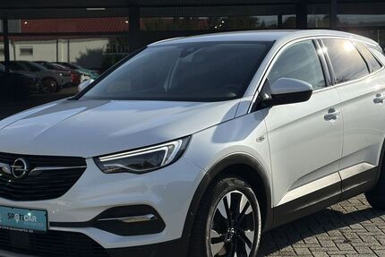 Opel Grandland (X) 58.126 km 16.690 &euro; Leer 26789