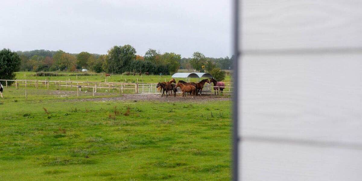 Einfamilienhaus Wirdum - 3 Zimmer, 51 m&sup2;, 249.000&euro; | Angebot:25799875