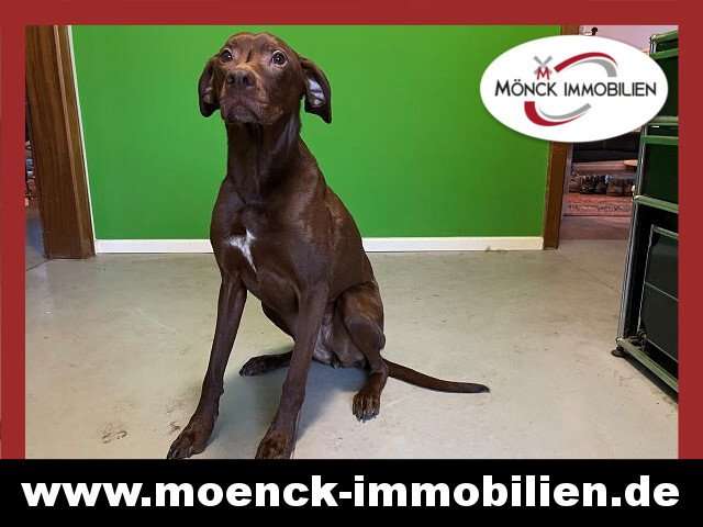 Einfamilienhaus Weener - 5 Zimmer, 130 m&sup2;, 360.000&euro; | Angebot:25943396