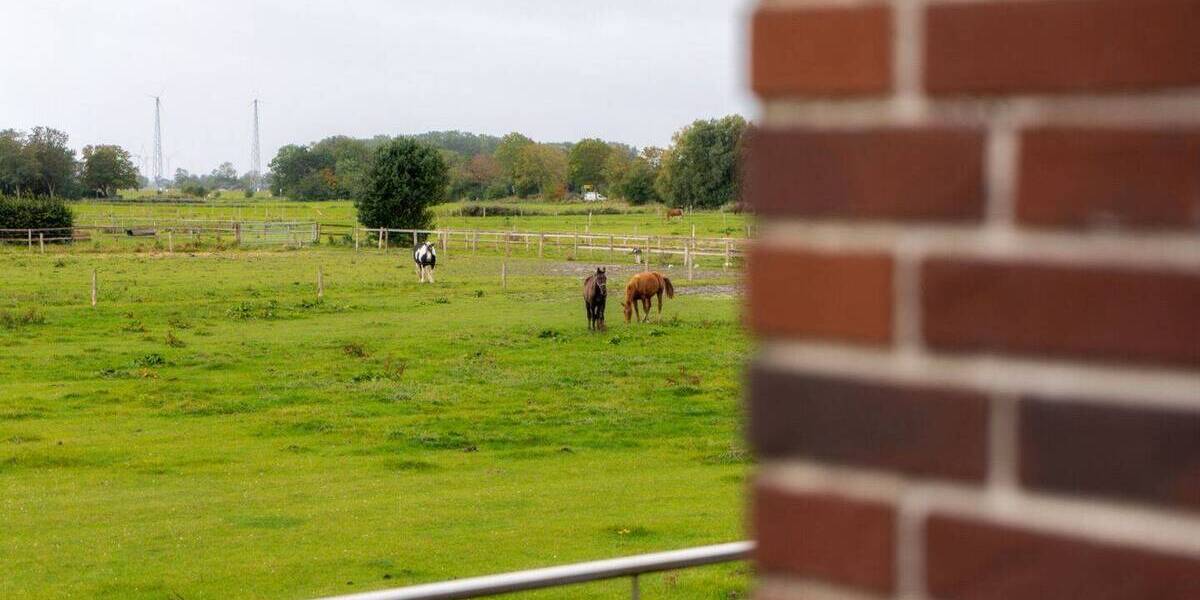 Einfamilienhaus Wirdum - 3 Zimmer, 51 m&sup2;, 279.000&euro; | Angebot:25799875