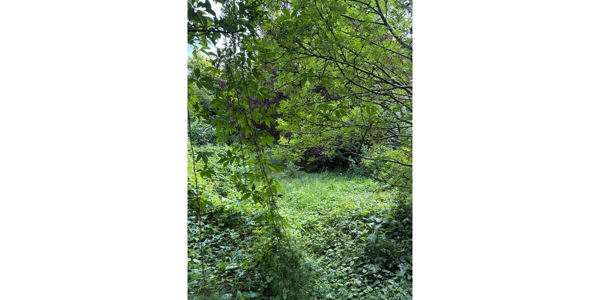 Einfamilienhaus Bunde - 90.000&euro; | Angebot:27081135