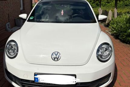 VW Beetle 135.000 km 12.000 &euro; Weener 26826