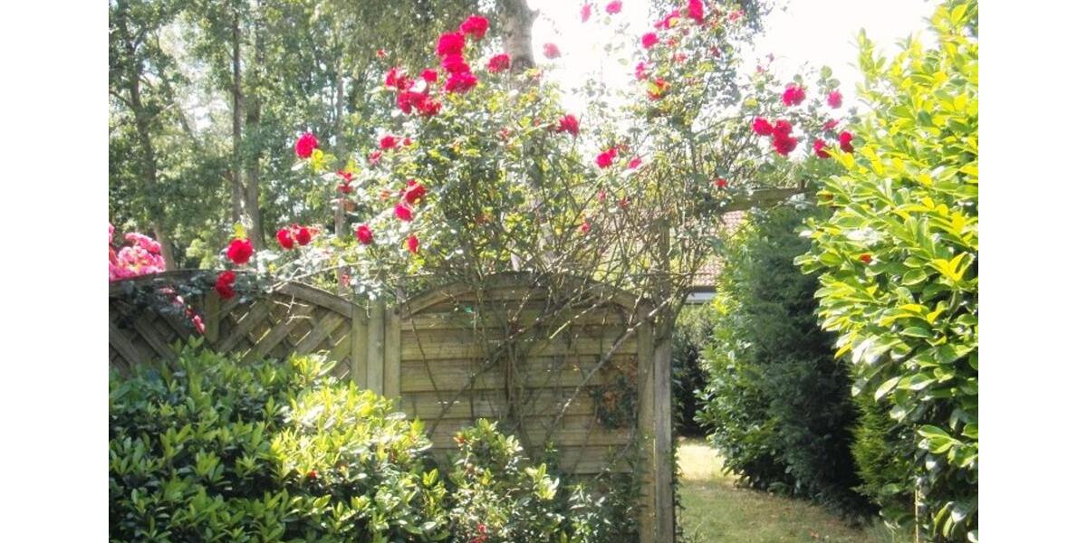 Dachgeschoßwohnung Ihlow - 2 Zimmer, 68 m&sup2;, 460&euro; | Angebot:24527735