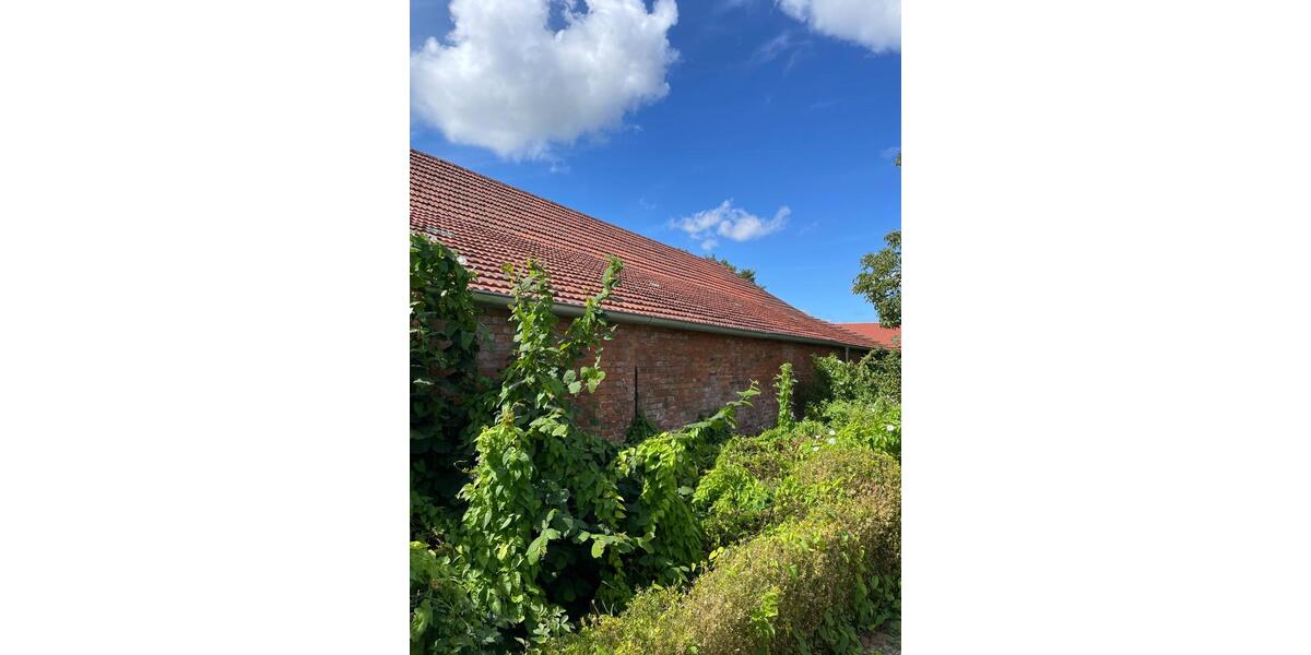 Einfamilienhaus Hage - 10 Zimmer, 250 m&sup2;, 600&euro; | Angebot:26072903