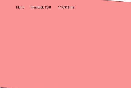 11,6918 ha Ackerland in Menstede-Coldinne - Grundstück Großheide Menstede-Coldinne | Angebot:27496283