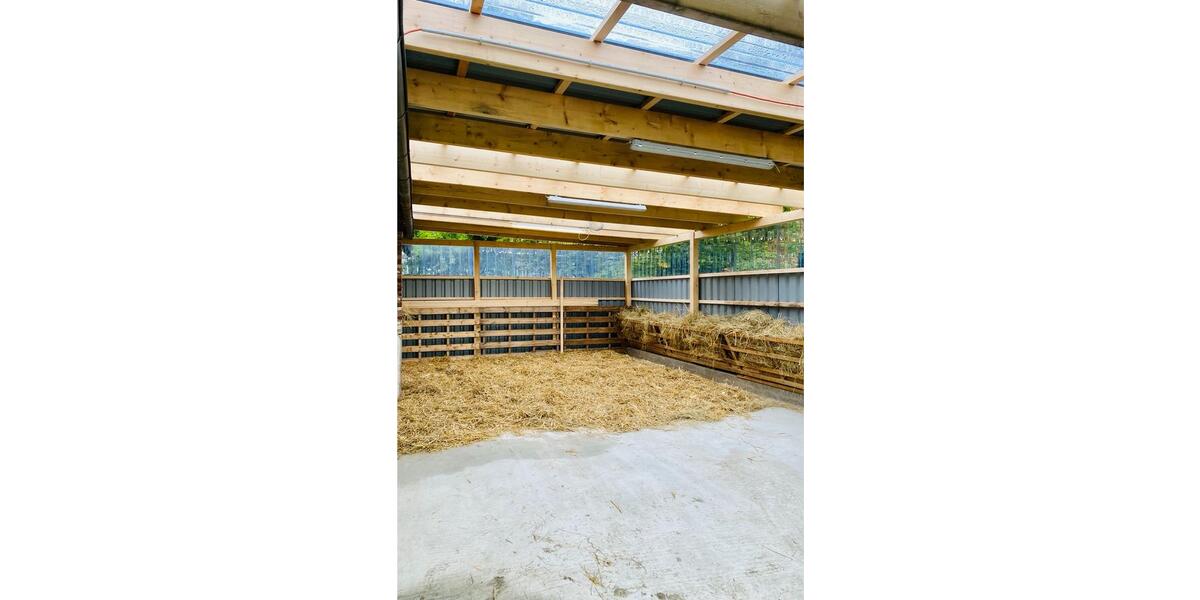Doppelhaushälfte Krummhörn - 4 Zimmer, 120 m&sup2;, 900&euro; | Angebot:26422528