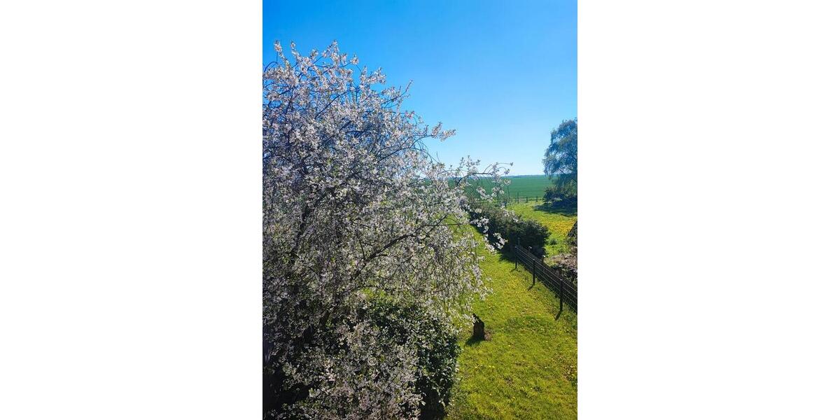 Einfamilienhaus Bunde - 6 Zimmer, 92 m&sup2;, 199.000&euro; | Angebot:27023186