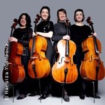 Klassik pur Vol. 1/ Klassik lebt und sie brennt! - CelloNation