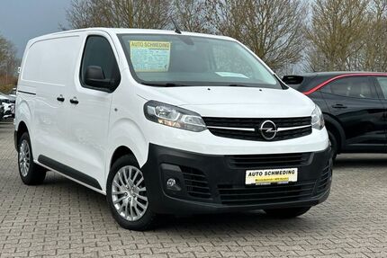Opel Vivaro 22.422 km 19.950 &euro; Leer- Bingum 26789
