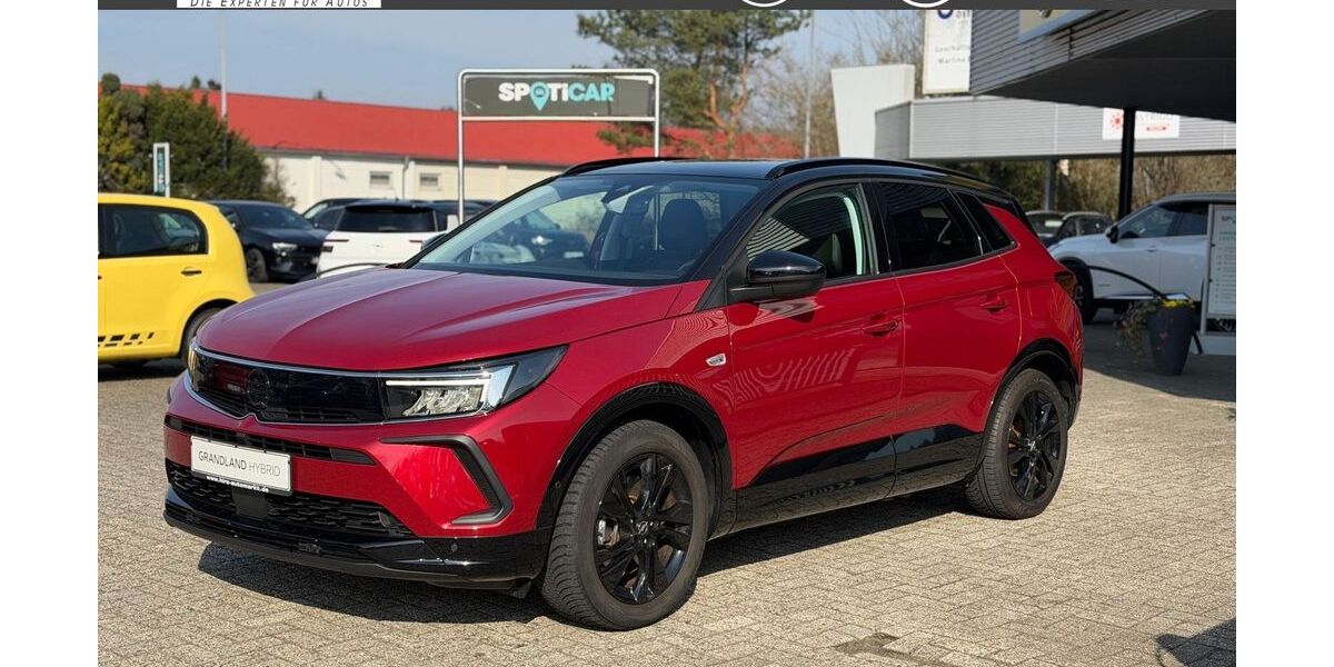 Opel Grandland (X) 46.750 km 24.444 &euro; Leer 26789