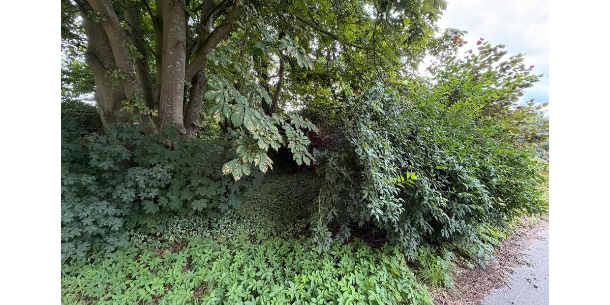 Einfamilienhaus Bunde - 90.000&euro; | Angebot:27081135