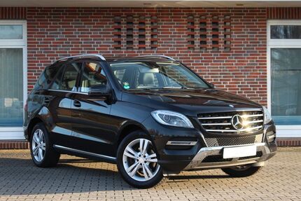 Mercedes-Benz ML 250 225.600 km 16.890 &euro; Nortmoor 26845