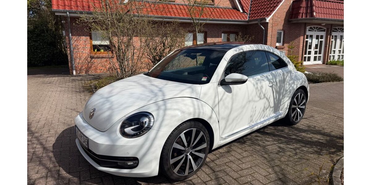 VW Beetle 182.000 km 7.900 &euro; Ihlow 26632