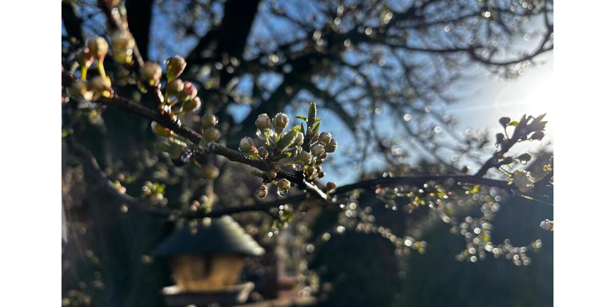 Einfamilienhaus Upgant-Schott Schott - 3 Zimmer, 86 m&sup2;, 750&euro; | Angebot:26043146