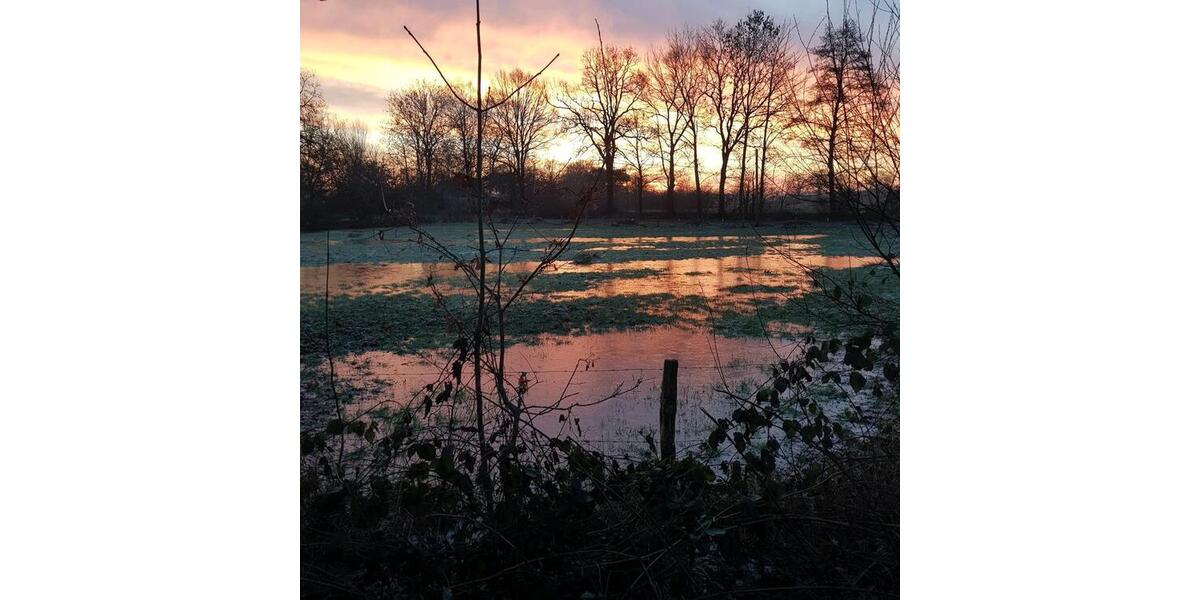 Erdgeschoßwohnung Aurich Georgsfeld und Tannenhausen - 3 Zimmer, 50 m&sup2;, 300&euro; | Angebot:24593090