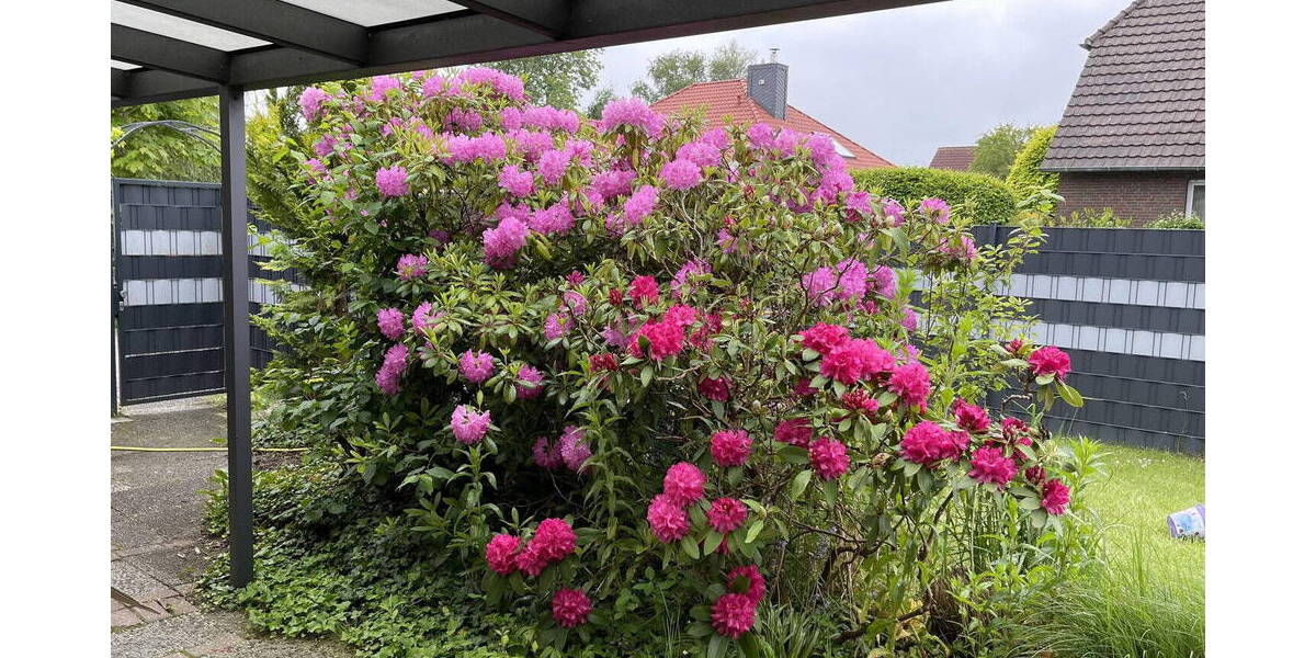 Mehrfamilienhaus, Wohnhaus Norden - 1 Zimmer, 250 m&sup2;, 519.000&euro; | Angebot:25969549