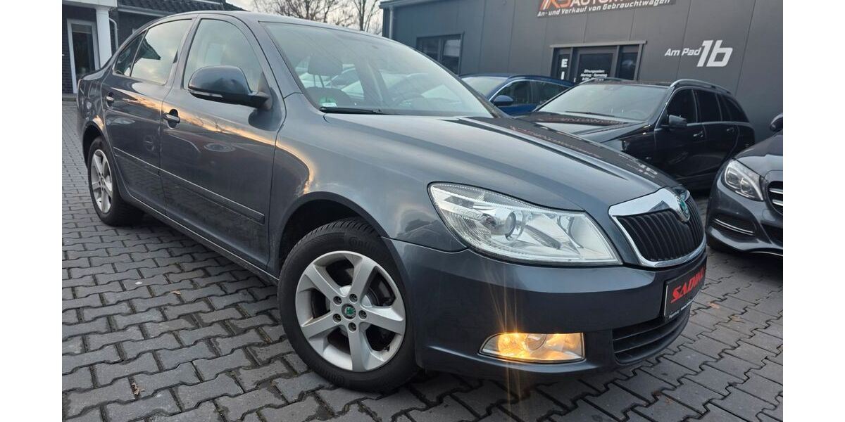 Skoda Octavia 180.000 km 4.950 &euro; Westoverledingen 26810