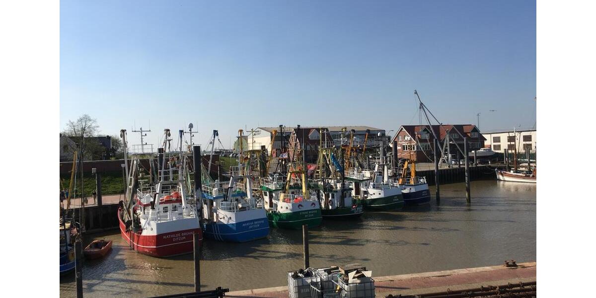 Gewerbeobjekt Jemgum - 1.500&euro; | Angebot:25830210