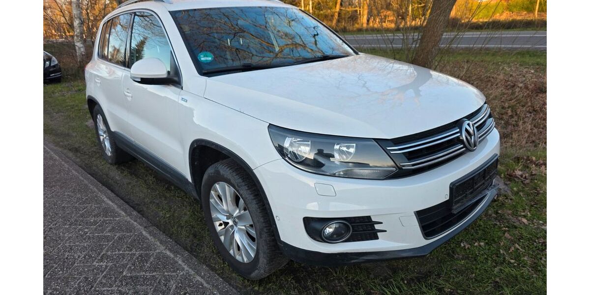 VW Tiguan 260.000 km 7.300 &euro; Westoverledingen 26810
