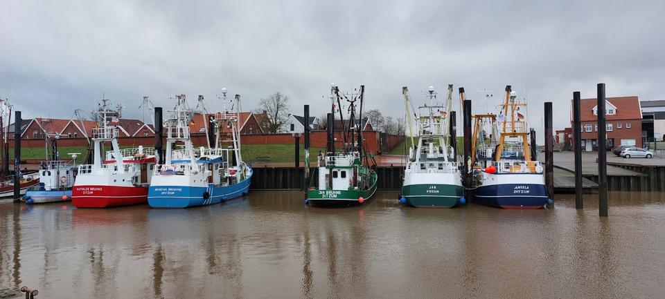 Einfamilienhaus Jemgum - 4 Zimmer, 125 m&sup2;, 494.300&euro; | Angebot:23565830