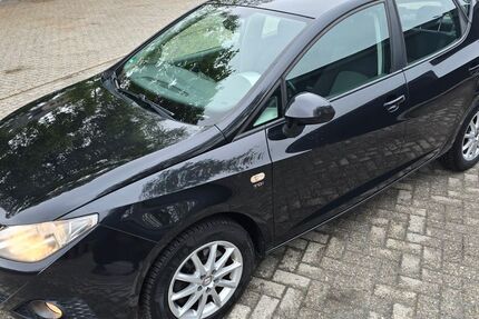 Seat Ibiza 230.888 km 3.700 &euro; Leer 26789