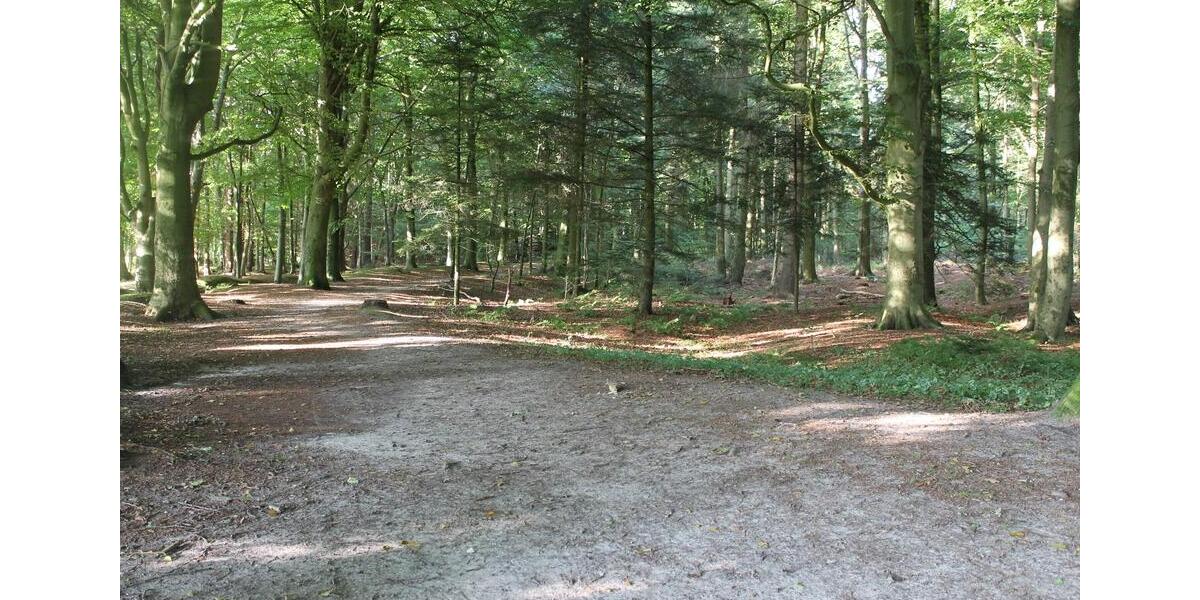 Gewerbeobjekt Hage - 398&euro; | Angebot:26042510