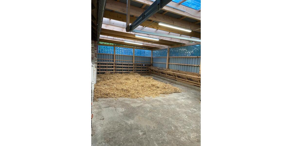 Doppelhaushälfte Krummhörn - 4 Zimmer, 120 m&sup2;, 900&euro; | Angebot:26422528