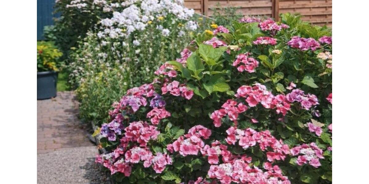 Doppelhaushälfte Norden - 3 Zimmer, 103 m&sup2;, 238.000&euro; | Angebot:24521783