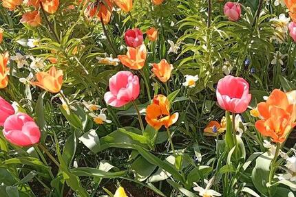 Haus Aurich - 7 Zimmer, 130 m&sup2;, 266.000&euro; | Angebot:26236813