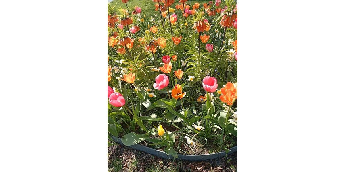 Mehrfamilienhaus, Wohnhaus Aurich - 7 Zimmer, 130 m&sup2;, 266.000&euro; | Angebot:26236813